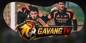 Nhận Định Arsenal Vs Coventry City 02h00 22/08