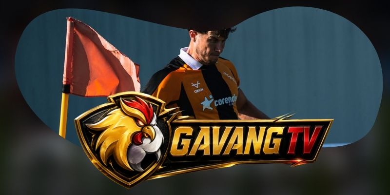 Gợi ý chốt kèo tổng hợp trận Coventry City vs Hull City ngày 29/08