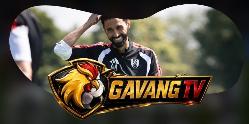 Gợi ý chốt kèo tổng hợp trận Fulham vs Chelsea ngày 25/08