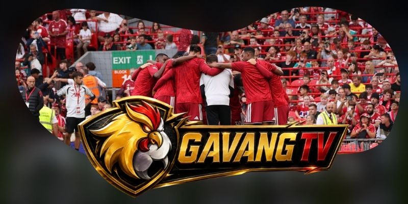 Gợi ý chốt kèo tổng hợp trận Newcastle United vs Liverpool ngày 23/08