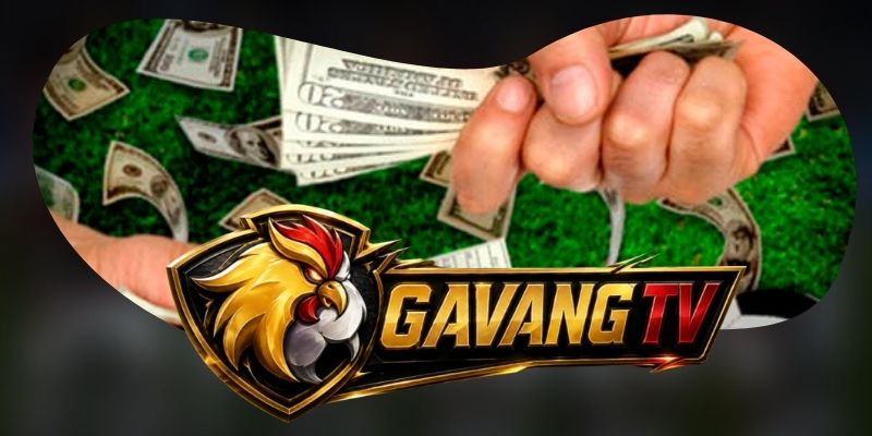 Stream thể thao được tối ưu theo trạng thái từng sự kiện